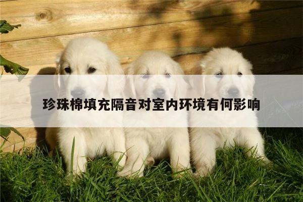 珍珠棉填充隔音对室内环境有何影响