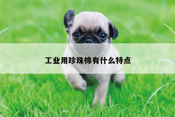 工业用珍珠棉有什么特点