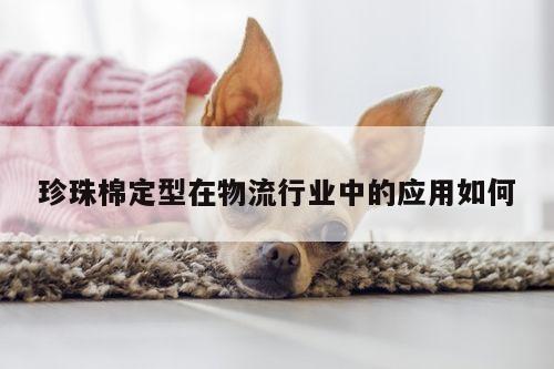 珍珠棉定型在物流行业中的应用如何